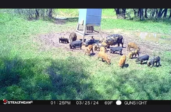 TBD County Road 154, Breckenridge, TX 76424