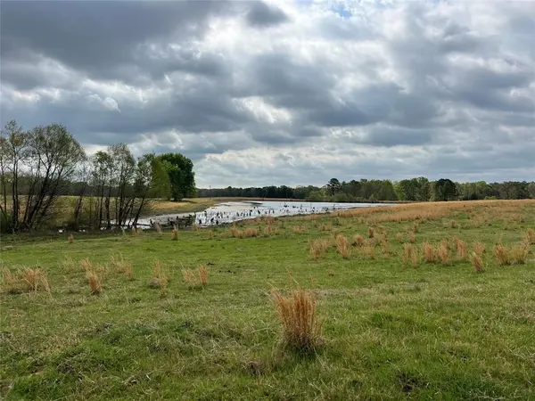 TBD FM 1001, Cookville, TX 75558