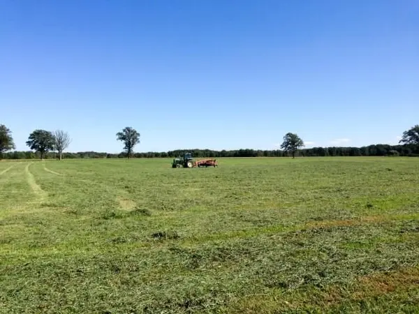 4001 Courtright Line, Enniskillen, ON N0N 1P0