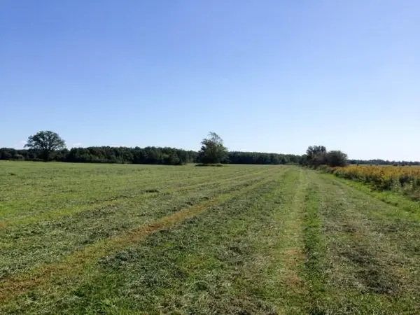 4001 Courtright Line, Enniskillen, ON N0N 1P0