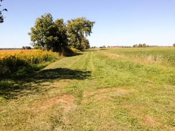 4001 Courtright Line, Enniskillen, ON N0N 1P0