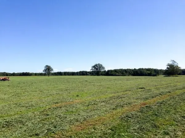 4001 Courtright Line, Enniskillen, ON N0N 1P0