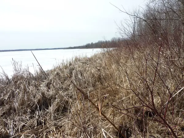 115 County Road 8 N/A, Elizabethtown-kitley, ON K0E 1Y0