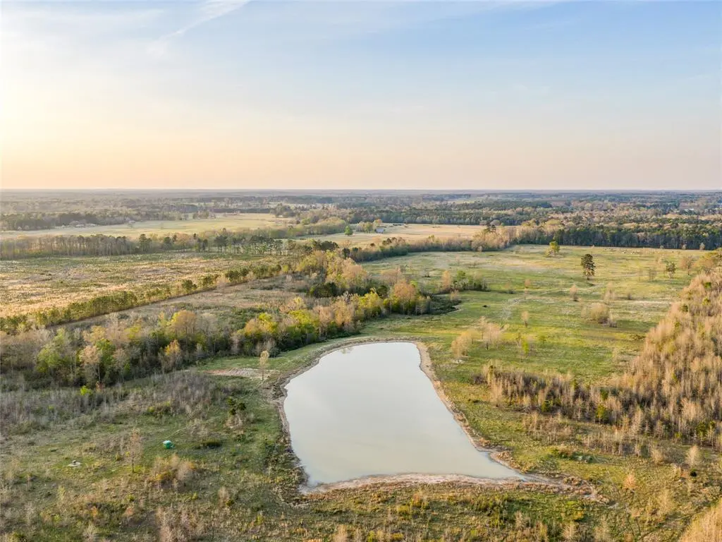 TBD FM 990, Simms, TX 75574