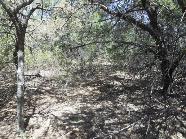 TBD 10 Acres CR 136, Ranger, TX 76470