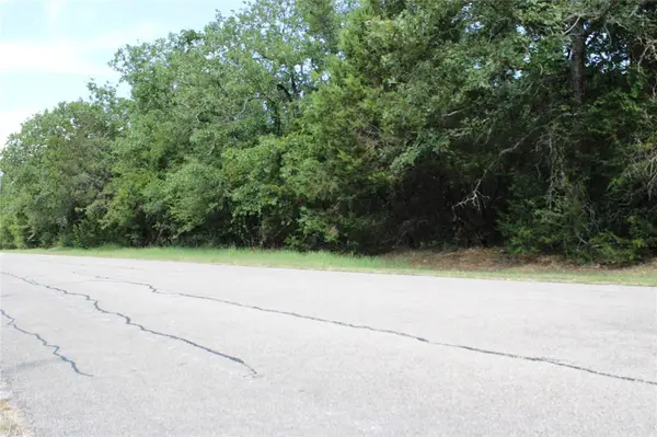 24043 Stonewood Drive, Whitney, TX 76692