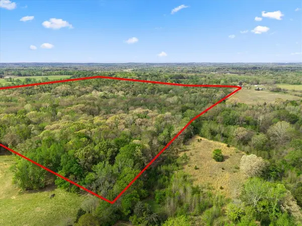 TBD CR 4390, Winnsboro, TX 75494