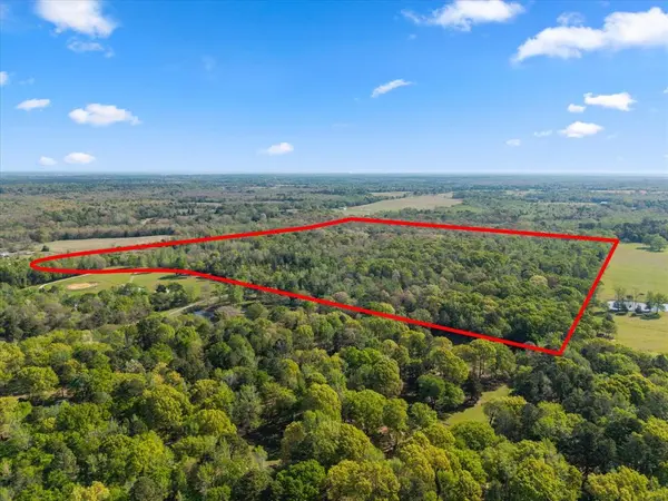 TBD CR 4390, Winnsboro, TX 75494