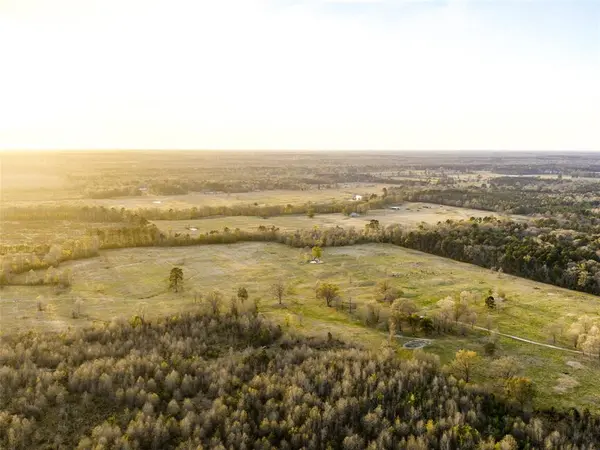 TBD FM 990, Simms, TX 75574