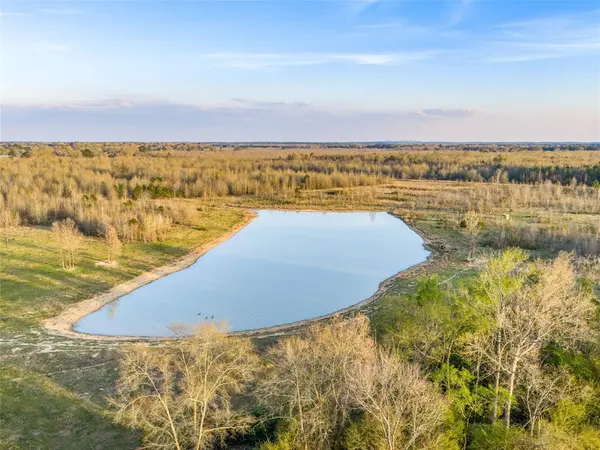 TBD FM 990, Simms, TX 75574