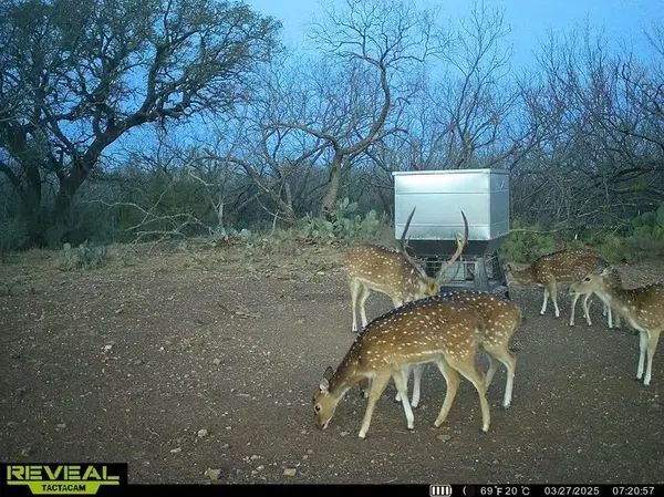 3873 N US Highway 87, Brady, TX 76825