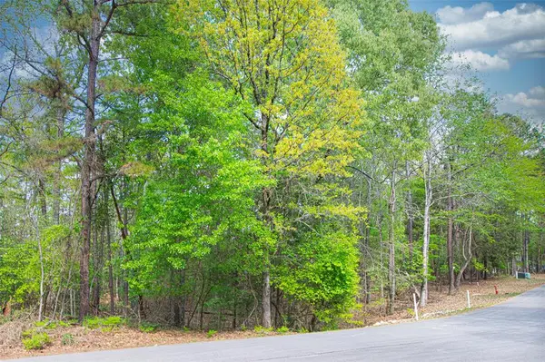 14867 Lake Meadow Court, Tyler, TX 75707