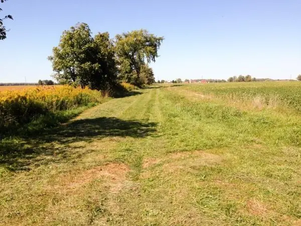 4001 COURTRIGHT Line, Oil Springs, ON N0N 1P0