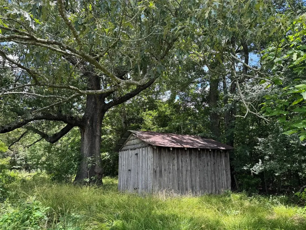 TBD County Road 3925, Mount Pleasant, TX 75455