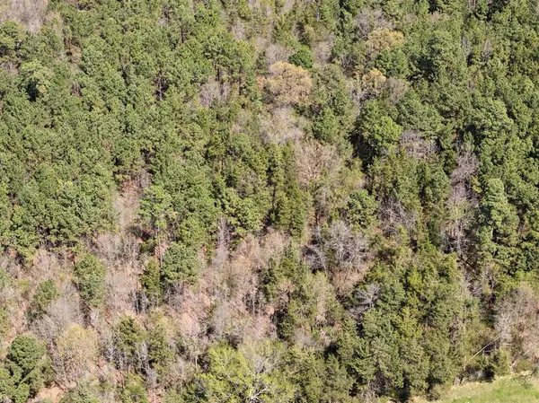 Lot 5 CR 4365, Mount Pleasant, TX 75455