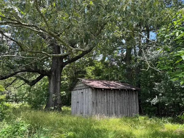 TBD County Road 3925, Mount Pleasant, TX 75455