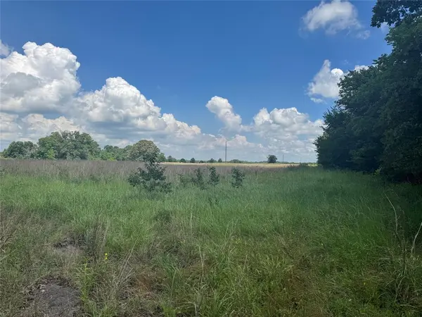 TBD County Road 3925, Mount Pleasant, TX 75455
