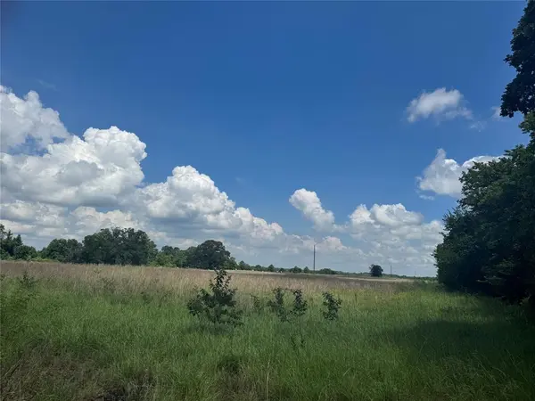 TBD County Road 3925, Mount Pleasant, TX 75455