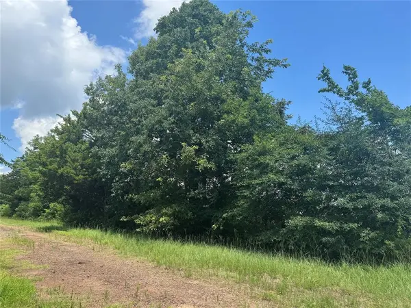 TBD County Road 3925, Mount Pleasant, TX 75455