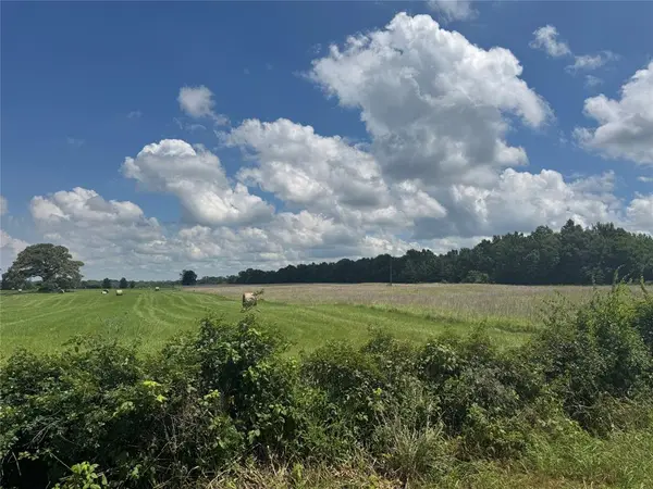 TBD County Road 3925, Mount Pleasant, TX 75455