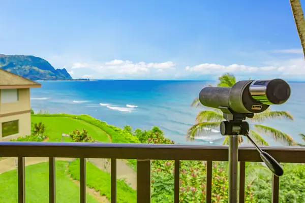 5300 KA HAKU RD #208, Princeville, HI 96722