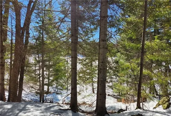 0 POVERTY BAY TRL, Minden Hills, ON K0M 2K0