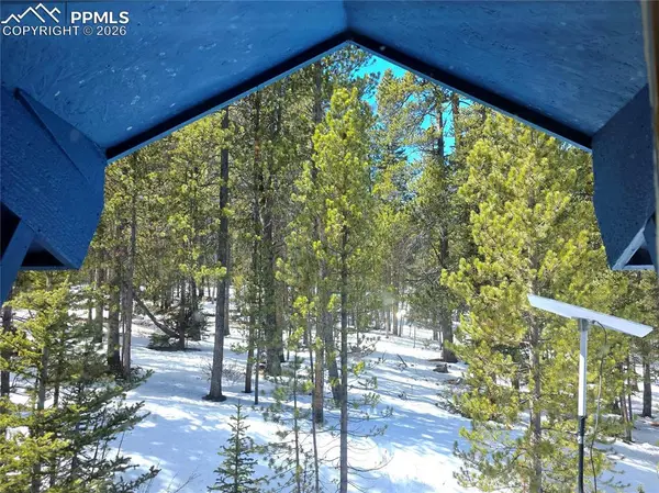 211 Pine Ridge RD, Alma, CO 80420