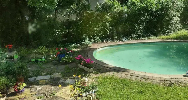 60 Mariposa AVE, Rockcliffe Park, ON K1M 0V1