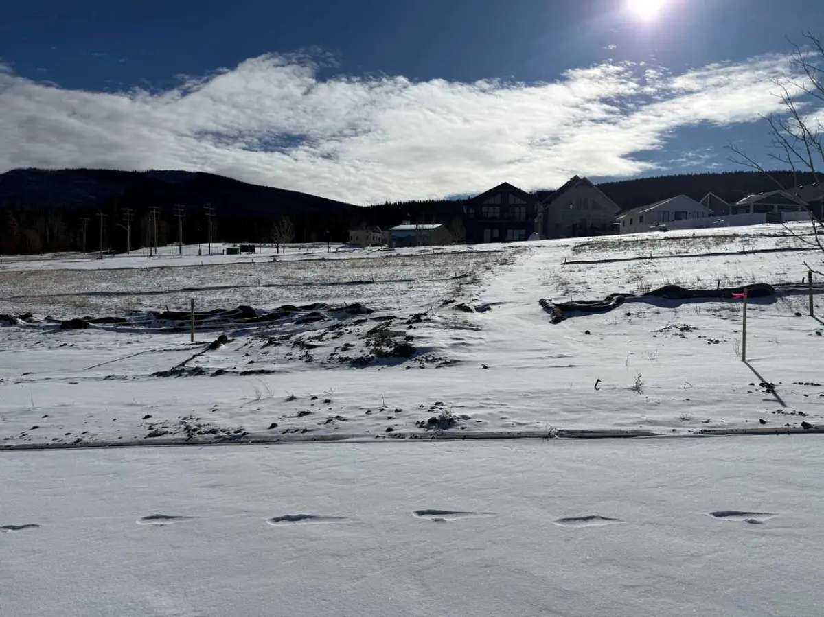 417 LILY AVE, Nordegg, AB T0M 2H0