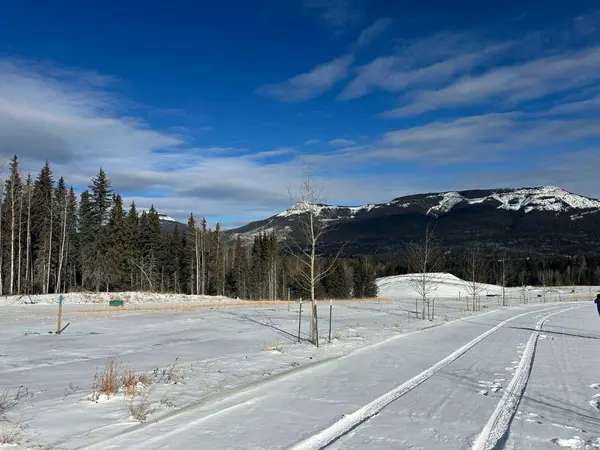 417 LILY AVE, Nordegg, AB T0M 2H0