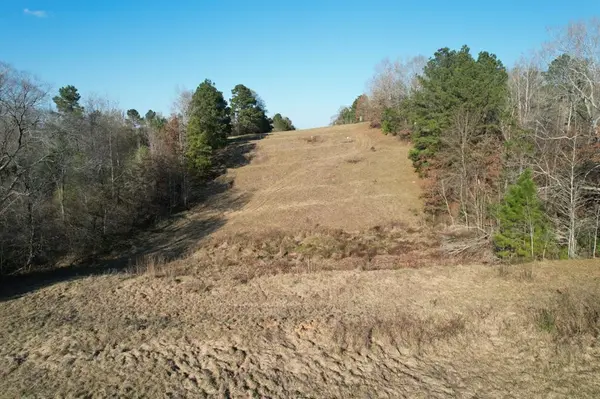 TBD Reeves Rd, Garrison, TX 75945