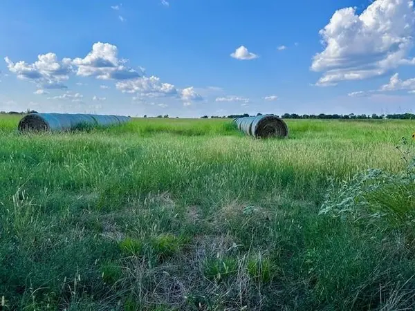 TBD 19.933AC TX-11, Bailey, TX 75413