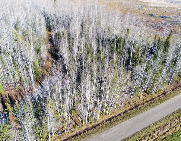 PT 4 Cabin RD, Englehart, ON P0J 1B0