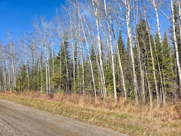 PT 4 Cabin RD, Englehart, ON P0J 1B0