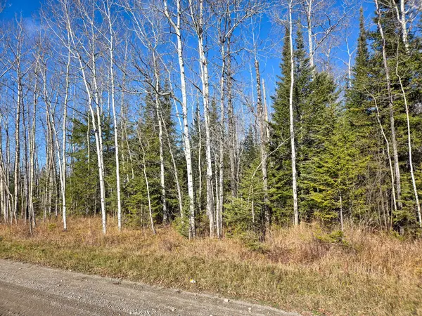 PT 4 Cabin RD, Englehart, ON P0J 1B0