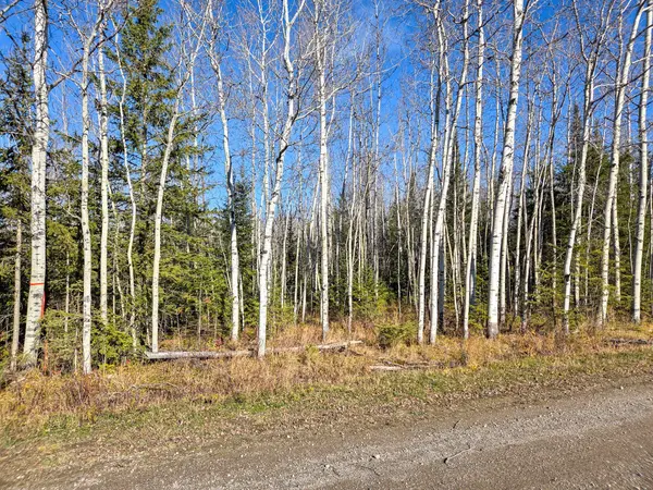 PT 4 Cabin RD, Englehart, ON P0J 1B0