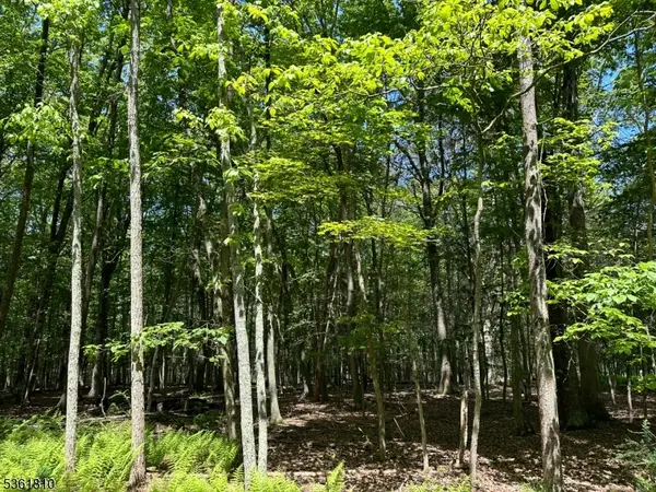 0 Devita Rd, Sandyston Twp., NJ 07826