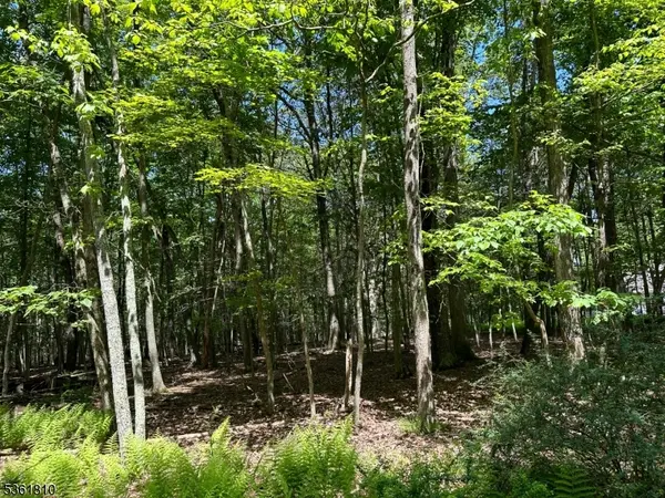 0 Devita Rd, Sandyston Twp., NJ 07826