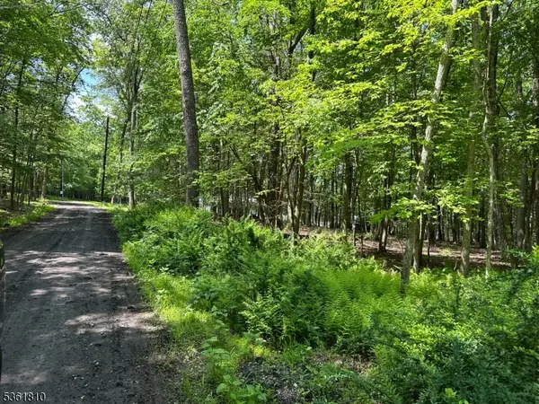 0 Devita Rd, Sandyston Twp., NJ 07826