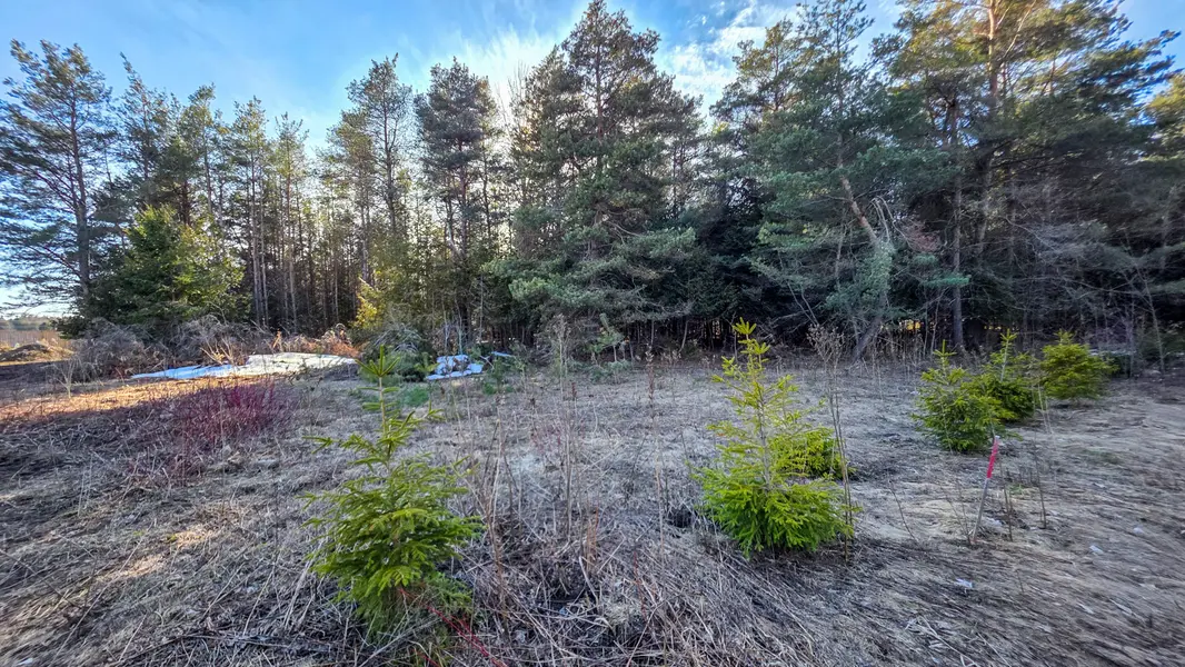 6382 Fifth Line, Centre Wellington, ON N1M 2W5