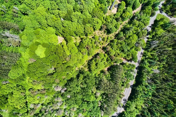 445 ETWELL RD, Huntsville, ON P1H 2J2