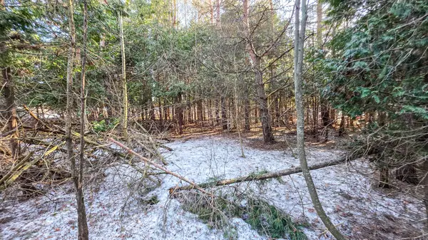 6382 Fifth Line, Centre Wellington, ON N1M 2W5