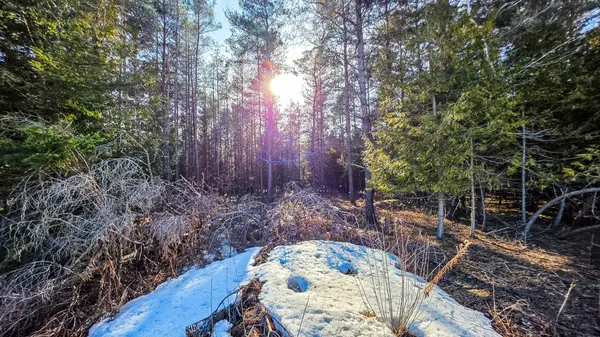 6382 Fifth Line, Centre Wellington, ON N1M 2W5