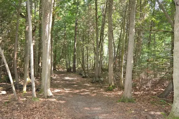 0 Hall DR, Trent Lakes, ON K0L 1J0