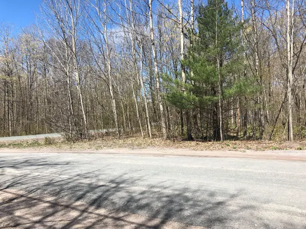 0 Hall DR, Trent Lakes, ON K0L 1J0