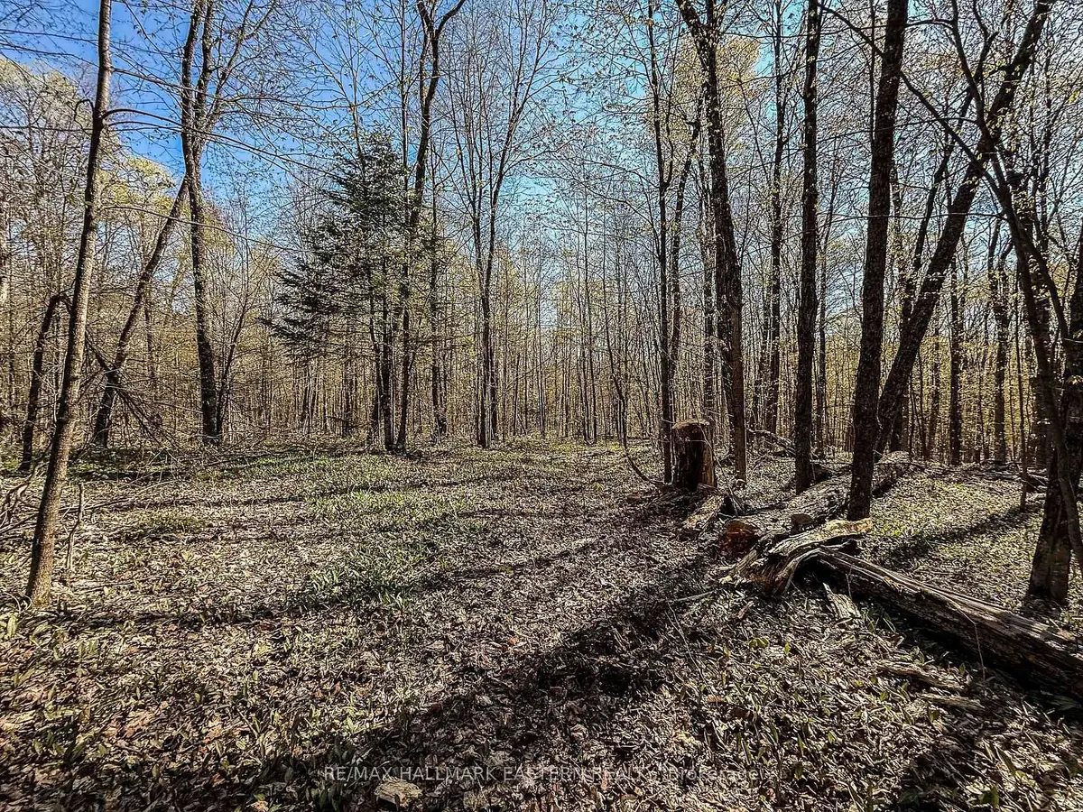 2494 Hadlington RD, Highlands East, ON K0L 3K0