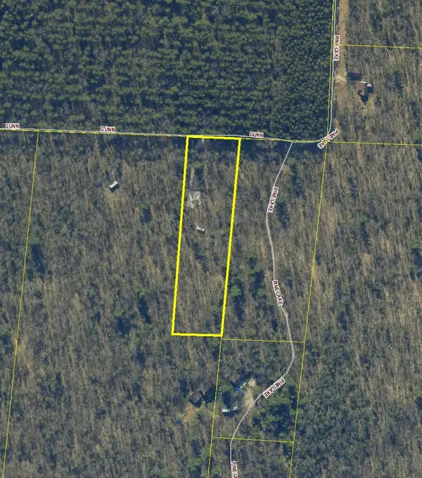 2073 Gunn RD, Norman Twp, MI 49660