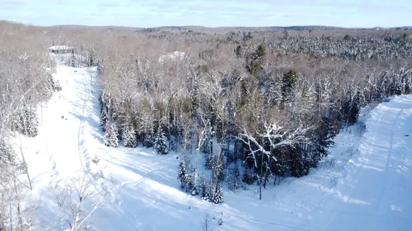 5 Boulder CT, Huntsville, ON P1H 2N5