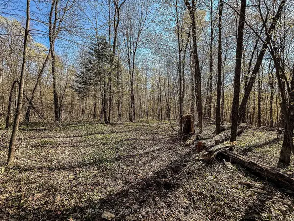 2494 Hadlington RD, Highlands East, ON K0L 3K0