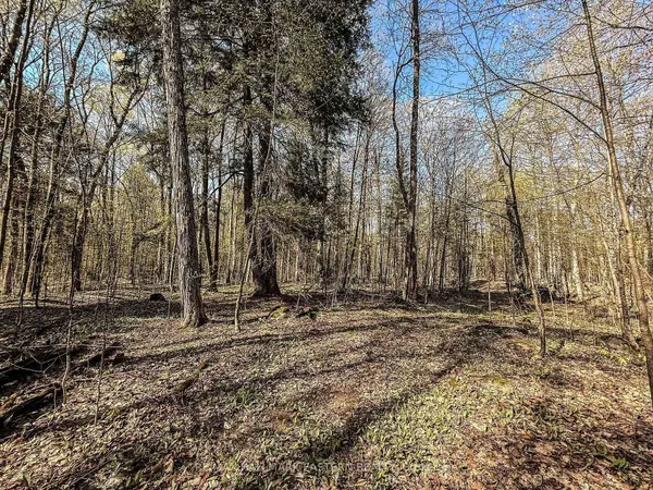 2494 Hadlington RD, Highlands East, ON K0L 3K0